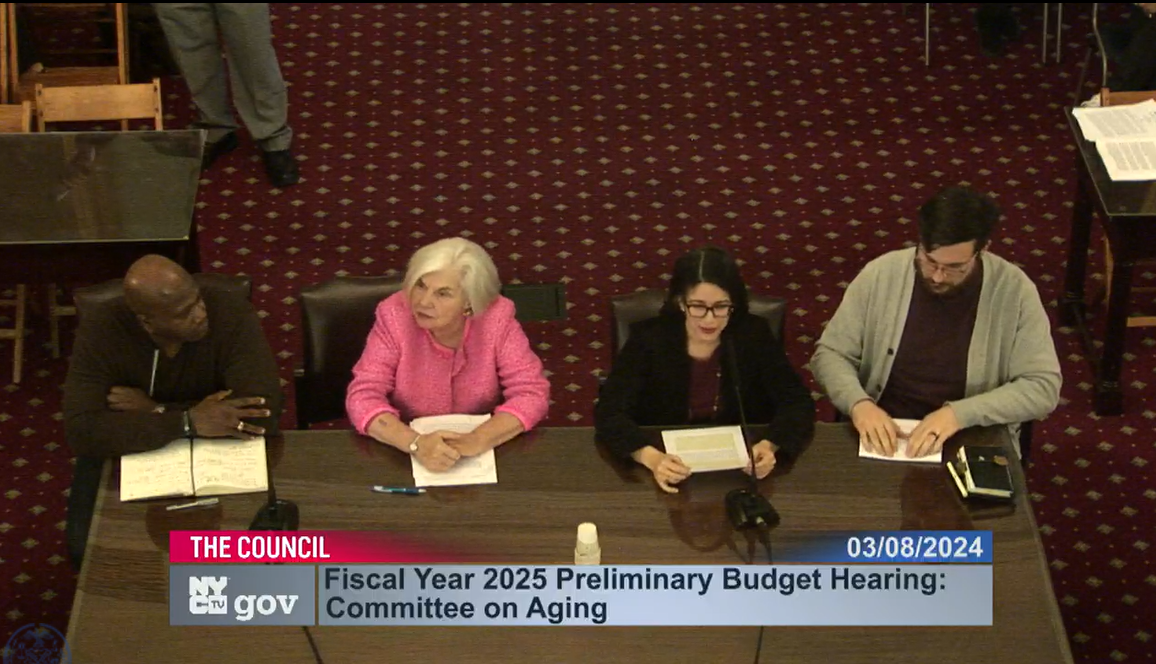 VOLS Submits Testimony To The New York City Council Committee On Aging